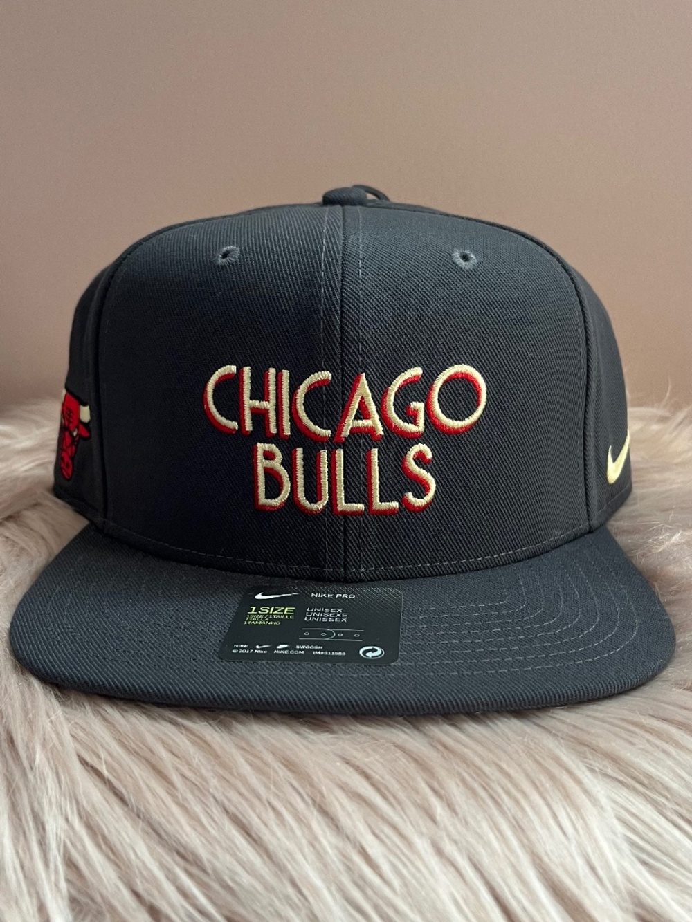 Nike NBA Chicago Bulls City Edition Pro Cap in anthracite/black